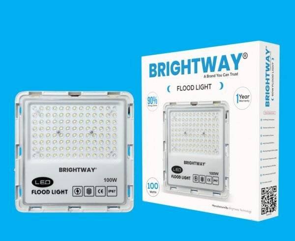 100 Watts Flood Light